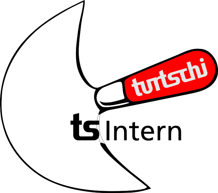 tsIntern